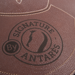 Sangle bavette longue Signature sans doublure Antares mon-cheval.fr