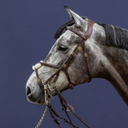 Montants doubles de bridon D collection Dy'on