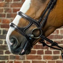 La double muserolle Dy'on D Collection est deux-en-un. En effet, elle mélange muserolle française et muserolle allemande selon l