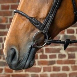 Muserolle en corde cuir D collection Dyon