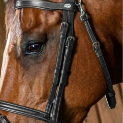 Montant de bridon cheval surpiqués working collection Dy'on