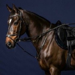 Fourche enrênement Howlett D collection Dy'on mon-cheval.fr