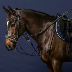 Rênes de gogue cheval en caoutchouc 