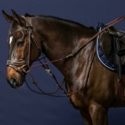 Rênes de gogue cheval en caoutchouc 