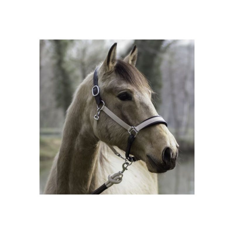 Licol cheval transport & grooming La Cense by Dyon Licol cheval transport & grooming La Cense by Dyon