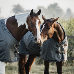 Couverture extérieur Turnout 160 g All weather Pro - Kentucky