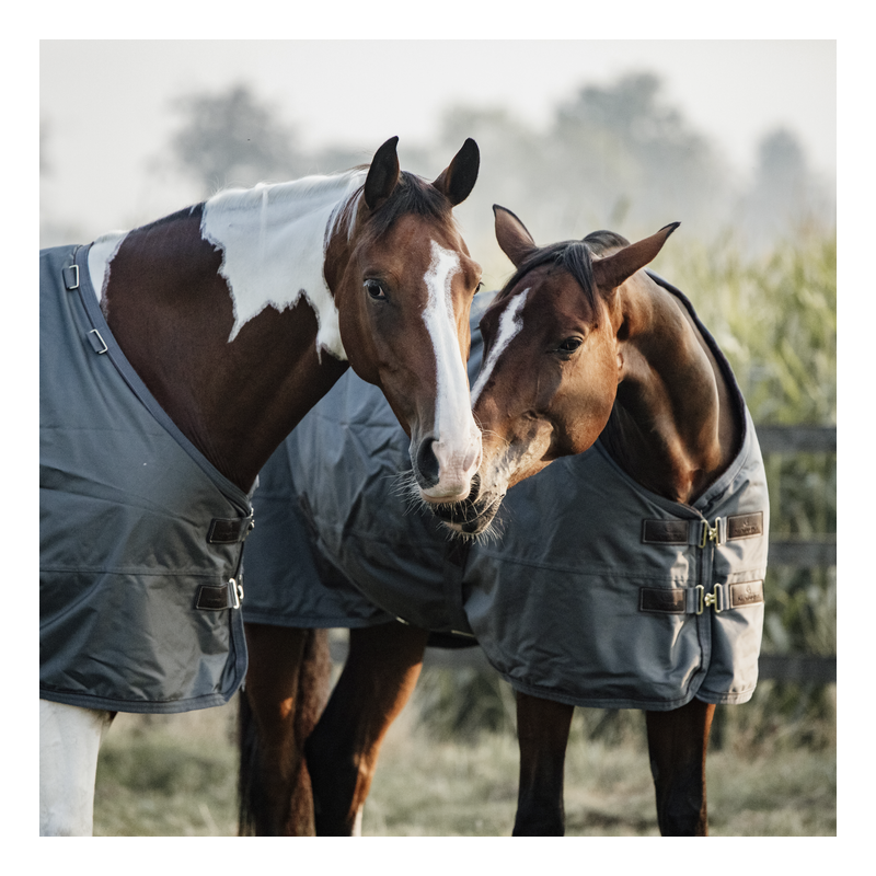 Couverture extérieur Turnout 160 g All weather Pro - Kentucky