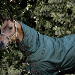 Couverture extérieur Turnout 160 g All weather Pro - Kentucky