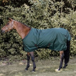 Couverture extérieur Turnout 160 g All weather Pro - Kentucky