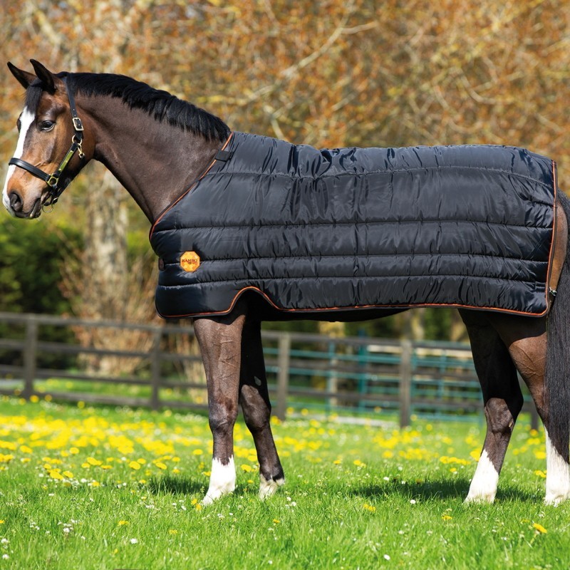 SOUS COUVERTURE LINER 100G THERAPEUTIQUE RAMBO IONIC HORSEWARE