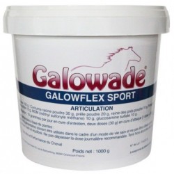Galowflex Sport Galowade Glucosamine Chondroïtine Msm - Mon Cheval
