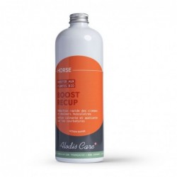 Boost Recup Alodis Care