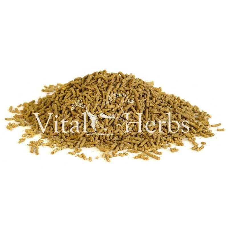 CMV Pro complément vitamines et minéraux cheval Vital Herbs