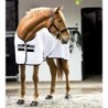 CHEMISE SECHANTE  TECHNI WAFFLE COOLER  RAMBO HORSEWARE