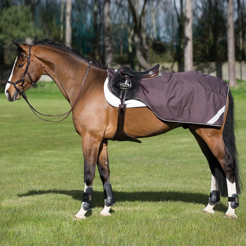 Couvre reine Amigo Competition Horseware Couvre reine Amigo Competition Horseware