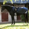 Couvre reine Amigo Competition Horseware 