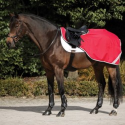 Couvre reine Amigo Competition Horseware 