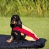 COUVERTURE POLAIRE CHIEN RAMBO NEWMARKET  HORSEWARE