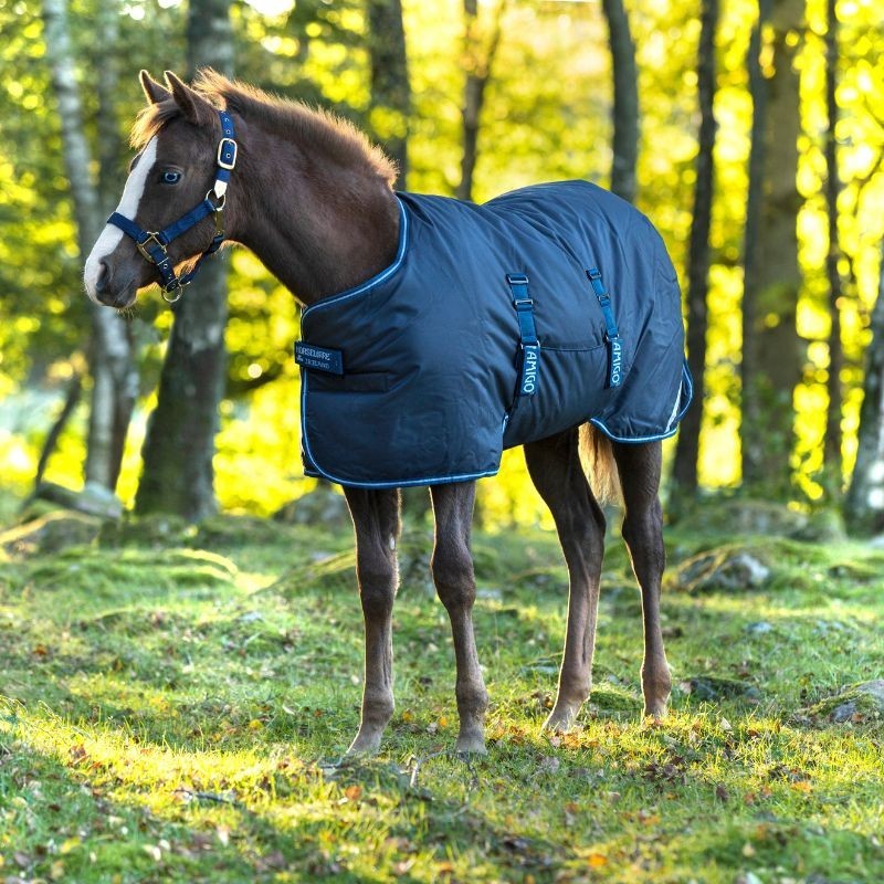 Couverture poulain imperméable Foal Rug 50g Horseware Couverture poulain imperméable Foal Rug 50g Horseware