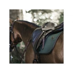 Saddle Pad Color Edition Leather Jumping tapis cuir chevaux Kentucky