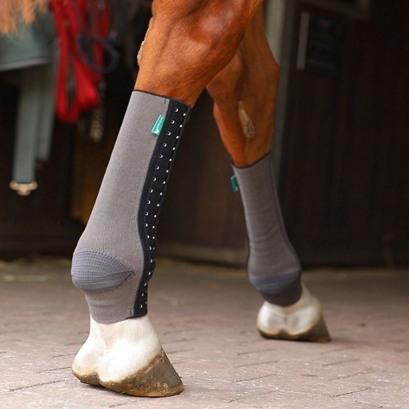 Chaussette de compression cheval Equicrown Fit silver care