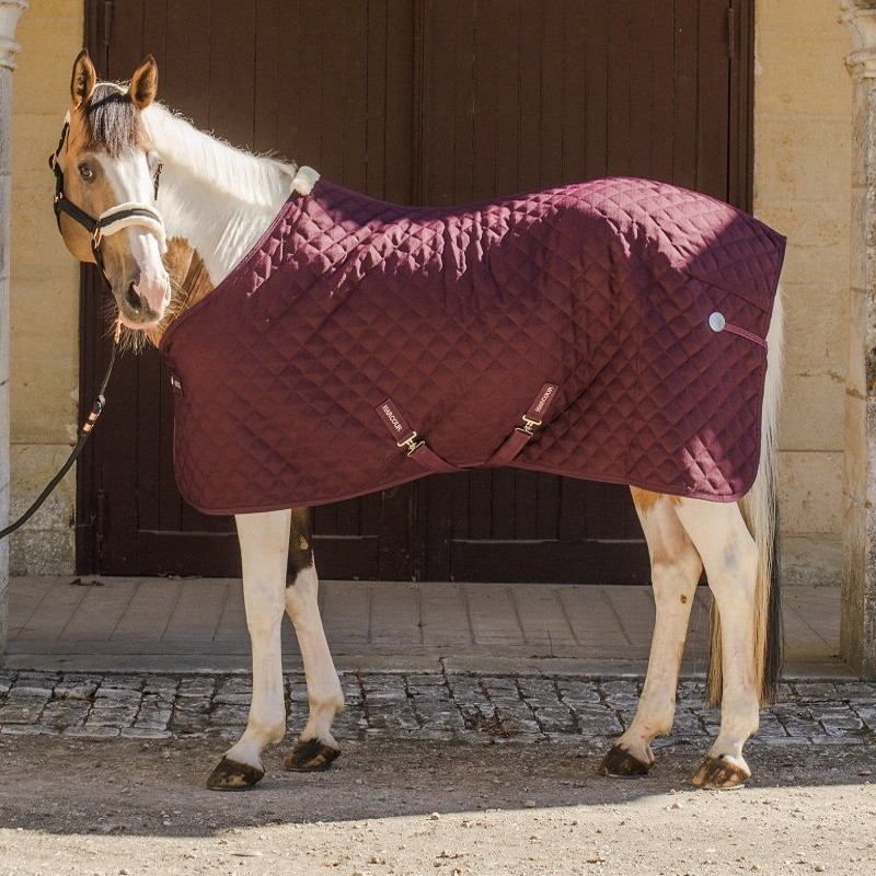 Couverture Harcour Romance - Mon Cheval Couverture Harcour Romance - Mon Cheval