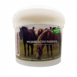 PROBIO ACTIV PADDOCK GALOWADE