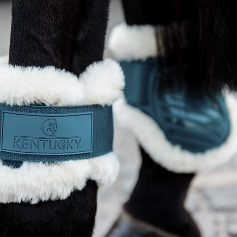 Protèges boulet jeune chevaux mouton Kentucky Protèges boulet jeune chevaux mouton Kentucky