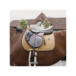 Saddle Pad Softshell tapis dressage et jumping chevaux Kentucky