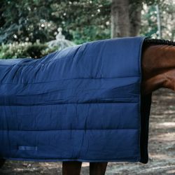 Under Rug sous-couverture 300g chevaux Kentucky