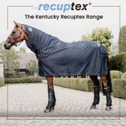 Couvre-cou Recuptex Light chevaux Kentucky