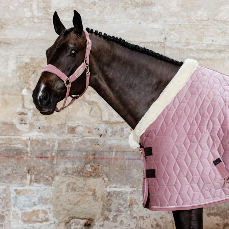 Licol Velvet Kentucky Licol Velvet Kentucky
