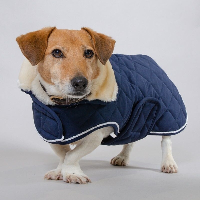 manteau harcour chien