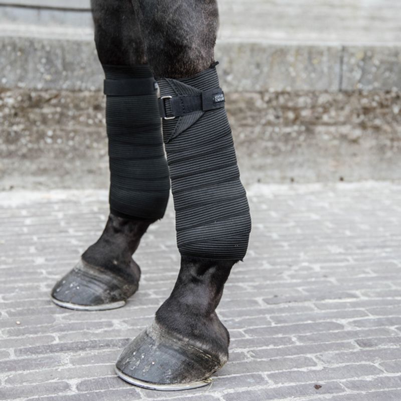 Elastic Bandages bandes de travail élastiques chevaux par 2 Kentucky