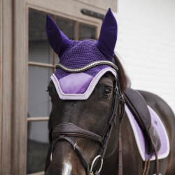 Bonnet Velvet Kentucky Contrast