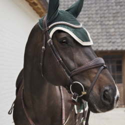 Bonnet Velvet Kentucky Contrast