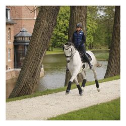 Polo Bandages bandes de polo extra larges chevaux par 4 Kentucky
