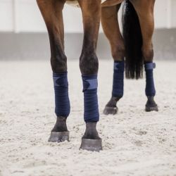 Bandes de polo Glitter chevaux par 4 Kentucky