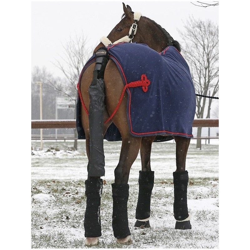 Bandes de repos chevaux par 4 Kentucky