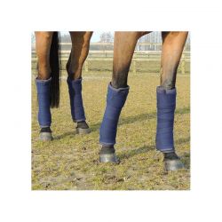 Bandes de repos chevaux par 4 Kentucky