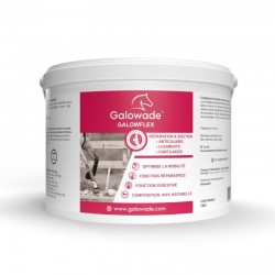 Galowflex Galowade - Glucosamine Chondroïtine Msm Chevaux - Mon Cheval