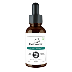 CBD CHEVAL - huile de CBD 30% - GOUT CAROTTE GALOWADE