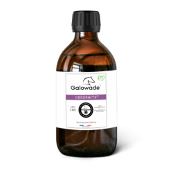 CBDERMITE - huile apaisante CBD 10% et Teetree GALOWADE