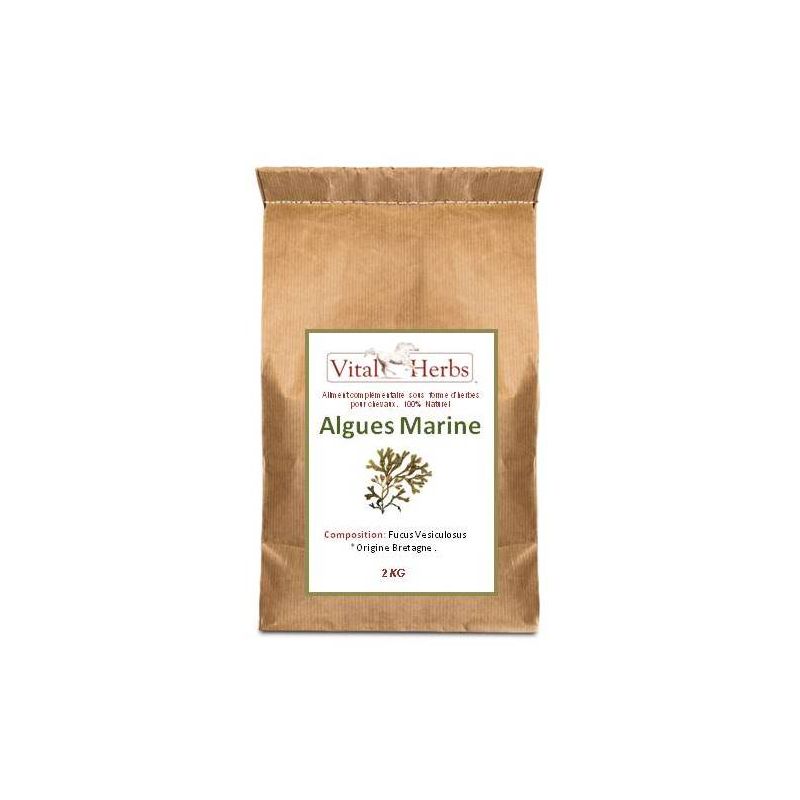 Algues marines cheval état général 5kg - Vital Herbs Algues marines cheval état général 5kg - Vital Herbs