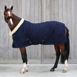 Show Rug couverture de présentation 160g chevaux Kentucky