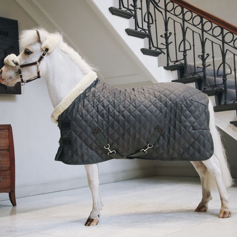 Show Rug couverture de présentation 160g poneys Kentucky Show Rug couverture de présentation 160g poneys Kentucky