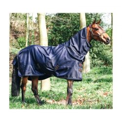 Turnout Rug All Weather 300g couverture extérieur chevaux Kentucky