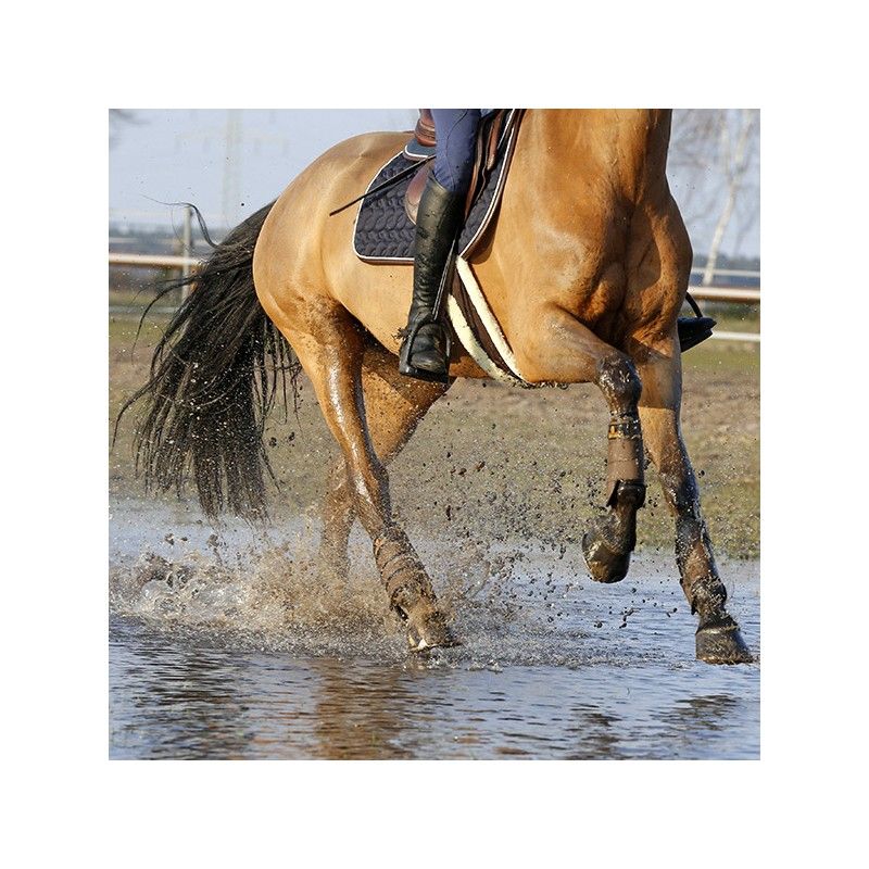 Sheepskin Girth sangle en mouton chevaux Kentucky Sheepskin Girth sangle en mouton chevaux Kentucky