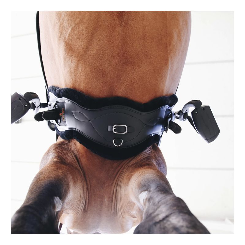 Sheepskin Anatomic Short Girth sangle de dressage anatomique courte en cuir et mouton chevaux Kentucky