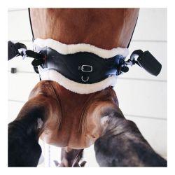 Sheepskin Anatomic Short Girth sangle de dressage anatomique courte en cuir et mouton chevaux Kentucky